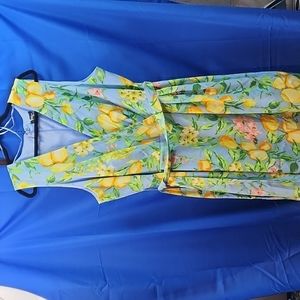 R&K 24W V Neck Lemon Print Dress Beautiful Belted